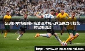 FIFA官方：驳回马来西亚足协对7位归化球员提出的上诉